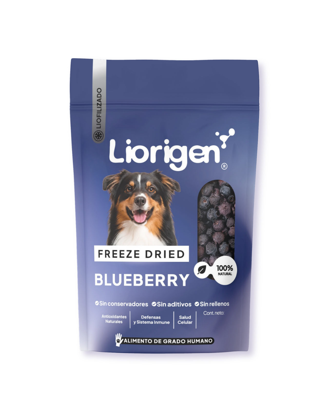 Blueberry liofilizado · 80 g